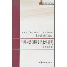中国税务审计制度和方法研究
