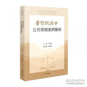 知识产权法热点问题研究