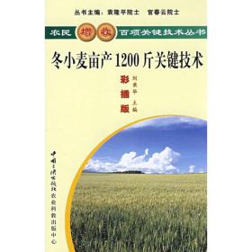 冬小麦高活力种子生产技术手册
