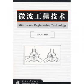 微波工程技术（第2版）