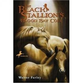 Black Stallion's Ghost