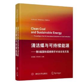 Clean Coal Engineering Technology洁净煤工程技术