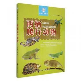 两栖战：战略·战术·战例