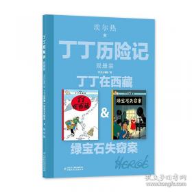 丁丁历险记·独角兽号的秘密