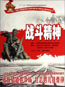 中国人民解放军战功战将战例战斗英雄战斗精神系列丛书：战功