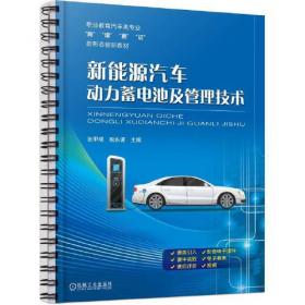 新能源汽车蓝皮书：中国新能源汽车产业发展报告（2013）
