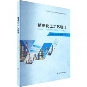 精细化工产品生产技术丛书：精细无机化学品生产技术