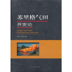 苏里格气田排水采气新技术