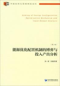 中国经济与管理研究系列：经理报酬中的权力理论及其效应研究（第2版）