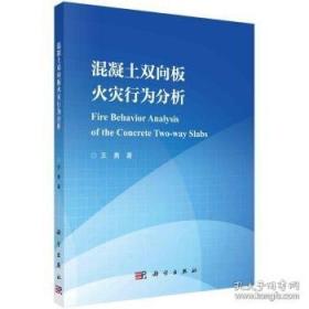 大学英语考点速查词典/英语考点速查丛书