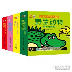 小手握笔学前阶梯练习：美术入门
