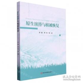 原生家庭：影响人一生的心理动力