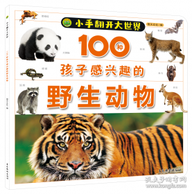小手握笔学前阶梯练习：美术入门