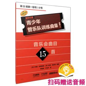 青少年心理辅导方略 大夏书系