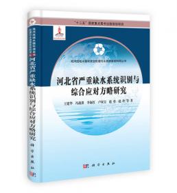 海河流域水循环演变机理与水资源高效利用丛书：海河流域水环境安全问题与对策