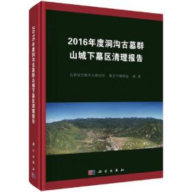 通化万发拨子遗址考古发掘报告