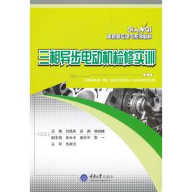 三相异步电动机使用与维修/电机修理技术丛书