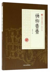 现代青年/民国通俗小说典藏文库·张恨水卷