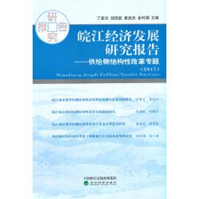 皖江城市带长江水沙变化与河势演变研究 