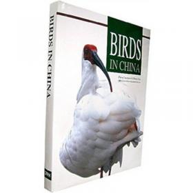 鸟类学：Ornithology