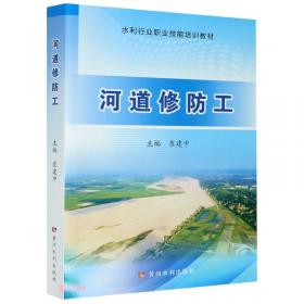 河道内流量增量法技术指南（生态流量技术指南丛书）