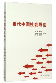 国际政治新知文丛 被遮掩的中国名片：中国青年志愿者在海外