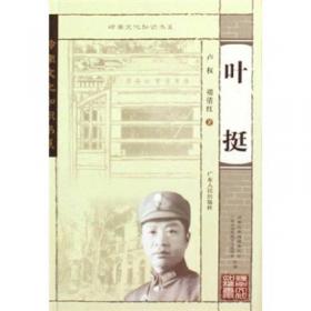 红色广东丛书：林伟民（庆祝中国共产党成立100周年！广东省委宣传部2021年主题出版重点出版物！）