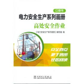 电力安全生产系列画册（口袋书）    作业现场反违章