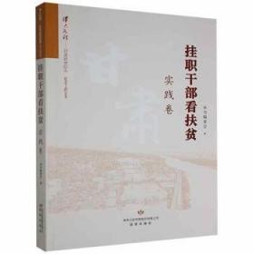 挂职扶贫：中国式消除贫困的制度创新