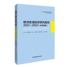 中国大型商业银行股改史(上卷) 