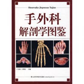 临床解剖学丛书·胸部分册（第2版）