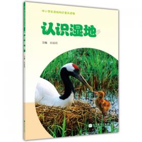 中国湖沼湿地生态系统服务及其评价/无价湿地