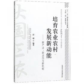 中国原创“漫阅读”名著系列丛书：西游记（套装共20册）