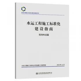 水运工程新型桶式基础结构技术与实践（新时代海上工程创新技术与实践丛书）