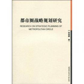 大城市化研究-（新视角、新理论、新观点）