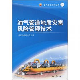 油气长输管道工程现场质量检查手册：储罐工程质量检查