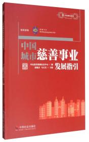 中民研究系列：2013年度中国福利彩票公益金使用情况报告