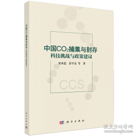 《中国企业对外直接投资效益——基于大数据与国际经验的宏微观研究》