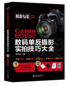 Nikon D800/D800E数码单反摄影实拍技巧大全（全彩）