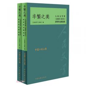 21世纪中国当代文学书库·第三辑：天之眼（英）