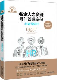 名企人力资源最佳管理实践/名企HR最佳管理实践系列丛书