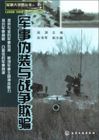 军事大视野丛书：立体打击·军用直升飞机