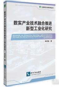 数实融合发展：理论与实践