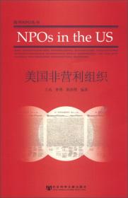 中国非营利评论（第6卷）