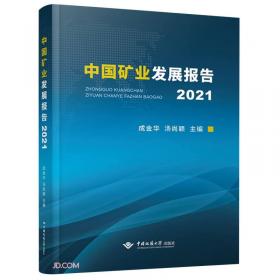 武汉城市圈创新合作战略与政策研究