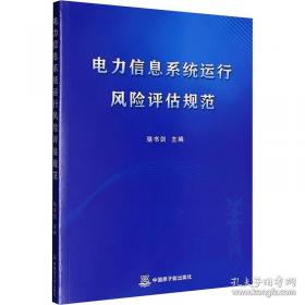 电力企业利用外资