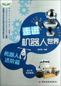 全国青少年校外教育活动指导教程丛书：虚拟机器人探究活动