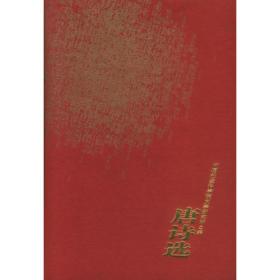 中国古典文学雅藏系列 唐宋词选