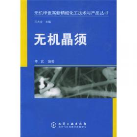 水运工程新型桶式基础结构技术与实践（新时代海上工程创新技术与实践丛书）