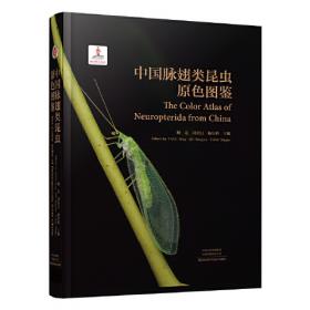 中国动物志 昆虫纲 第五十三卷 双翅目长足虻科